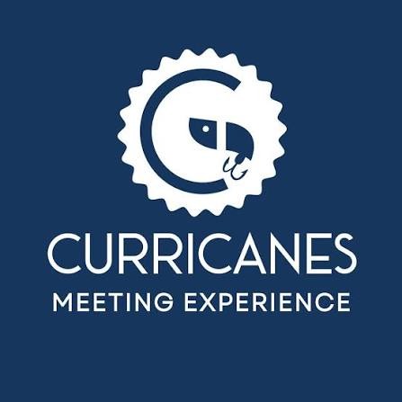 Curricanes Meeting Experience